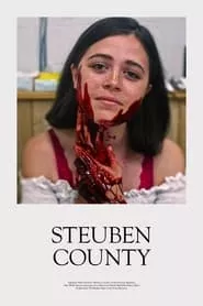 Steuben County (2020) Steuben County (2020)