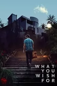 What You Wish For (2025)